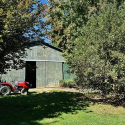 Molly's Vineyard - Farm