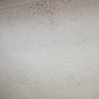 Beach House - There is black mold all over the constantly damp ceiling, and cracks in the ceiling not pictured here. - Hotels Near Me - Hilton Head, South Carolina Beach House - There is black mold all over the constantly damp ceiling, and cracks in the ceiling not pictured here. - Hotels Near Me - Hilton Head, South Carolina