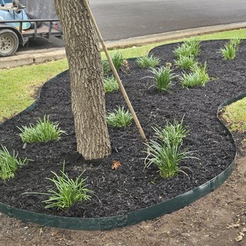 All Green Lawn & Landscape - Tree Services Near Me - Lorena, Texas All Green Lawn & Landscape - Tree Services Near Me - Lorena, Texas