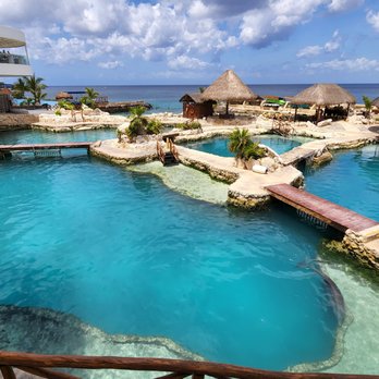 Dolphinaris - Arts & Entertainment Near Me - San Miguel de Cozumel, ROO
