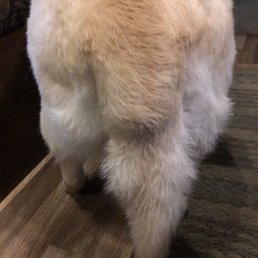 Fluffy butt! Fluffy butt!