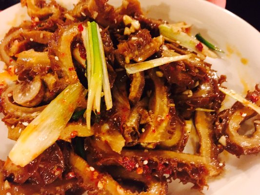 Szechuan Tasty House 川味坊 by null