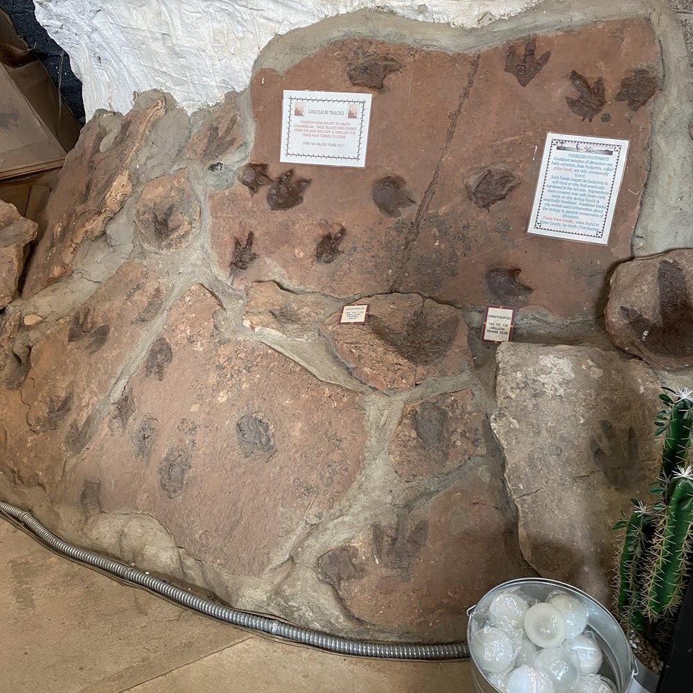 Moqui Cave - Dinosaur track - Museums Near Me - Kanab, Utah Moqui Cave - Dinosaur track - Museums Near Me - Kanab, Utah