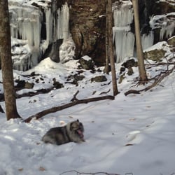 Blackledge Falls - Frozen waterfalls in the winter months