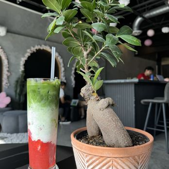 Sorbo - Strawberry matcha - Wine Bars Near Me - Wesley Chapel, Florida