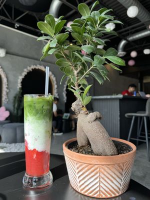 Sorbo Coffee by null