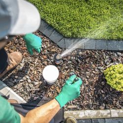 O'Fallon Backflow & Irrigation Services