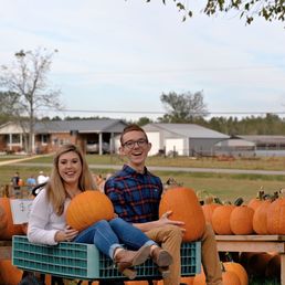 a man and a woman sitting in a wagon full of pumpkins a man and a woman sitting in a wagon full of pumpkins