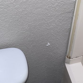 Motel 6 - Nasty ass left over TP someone stuck to the wall - Hotels Near Me - York, Pennsylvania Motel 6 - Nasty ass left over TP someone stuck to the wall - Hotels Near Me - York, Pennsylvania