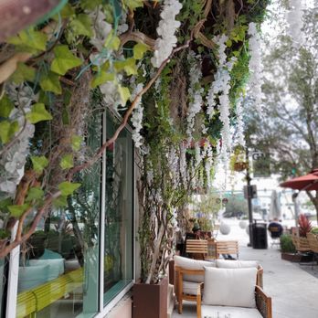Subculture Coffee - Cafes Near Me - West Palm Beach, Florida