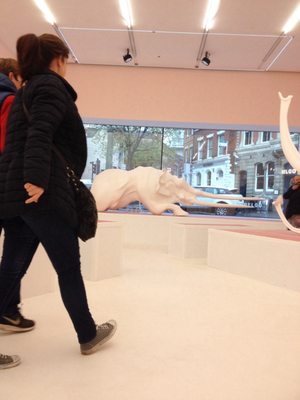 Nottingham Contemporary by null