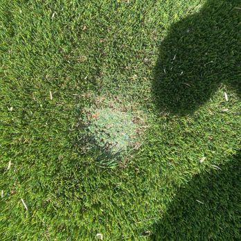 Chavez Trees - 4" burn divot - Tree Services Near Me - Houston, Texas