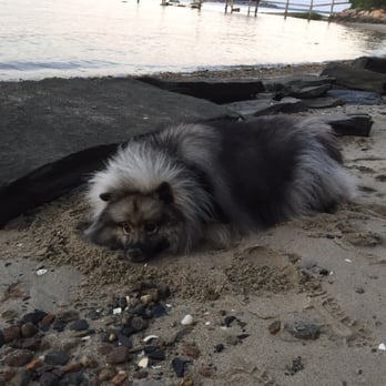 Goddard Memorial State Park - Beach bum! - Beaches Near Me - Warwick, Rhode Island