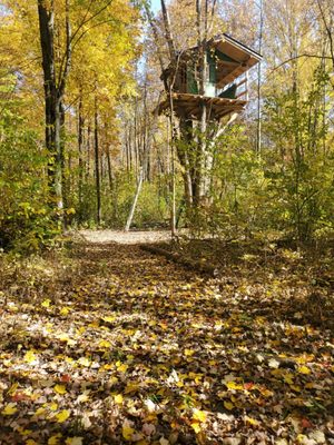 Treehouse Project - I built this tree house for my 16 and 12 year old to have a place for themselves to just hangout and relax with friends! I am happy to make your tree a new home for your kids :) Treehouse Project - I built this tree house for my 16 and 12 year old to have a place for themselves to just hangout and relax with friends! I am happy to make your tree a new home for your kids :)