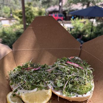Raven Hill Bagels - My food before it was devoured - Bagels Near Me - Idyllwild-Pine Cove, California Raven Hill Bagels - My food before it was devoured - Bagels Near Me - Idyllwild-Pine Cove, California