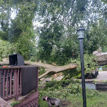 EC Mowing - Tre removal after storm - Lawn Services Near Me - Joliet, Illinois