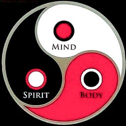 MD Martial Arts - Yin - Yang symbol represents the duality and balance of life.