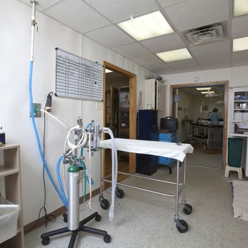 Spoon River Animal Clinic - Veterinarians Near Me - Canton, Illinois Spoon River Animal Clinic - Veterinarians Near Me - Canton, Illinois
