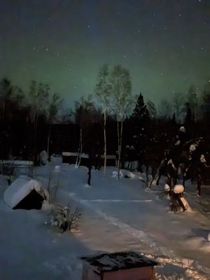 Alaska Grizzly Lodge by null