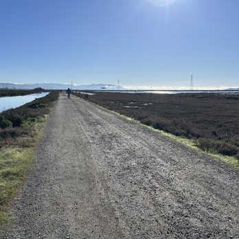 Hayward Regional Shoreline - Hiking Near Me - Hayward, California Hayward Regional Shoreline - Hiking Near Me - Hayward, California