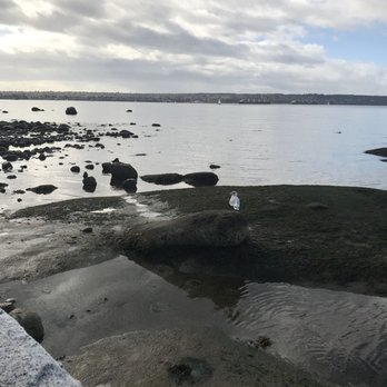 Stanley Park - Parks Near Me - Vancouver, British Columbia Stanley Park - Parks Near Me - Vancouver, British Columbia