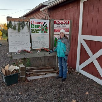 Hague's Christmas Trees - Welcome to the choose-and-cut field. We provide a saw, and cart to bring in your tree. - Christmas Trees Near Me - Hatfield, Pennsylvania