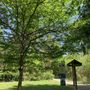 Photo of Berman Park