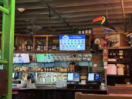 Crazy Craig's Treehouse by null