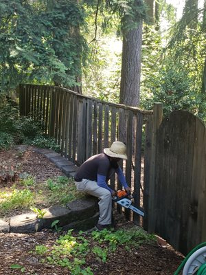 FENCE CONSTRUCTION - Varied fences FENCE CONSTRUCTION - Varied fences