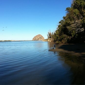 Morro Bay State Park - Hiking the beach while watching sea lions at Morro Bay State Park ( provided courtesy of TRAILSOURCE.COM ) - Beaches Near Me - Morro Bay, California Morro Bay State Park - Hiking the beach while watching sea lions at Morro Bay State Park ( provided courtesy of TRAILSOURCE.COM ) - Beaches Near Me - Morro Bay, California