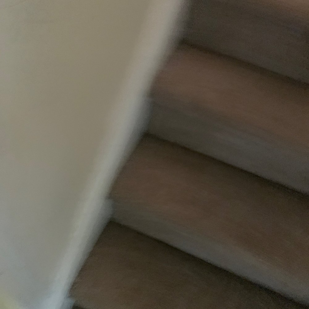 Fantastic Carpet Cleaning NYC - After - Carpet Cleaning Near Me - Ridgewood, New York Fantastic Carpet Cleaning NYC - After - Carpet Cleaning Near Me - Ridgewood, New York