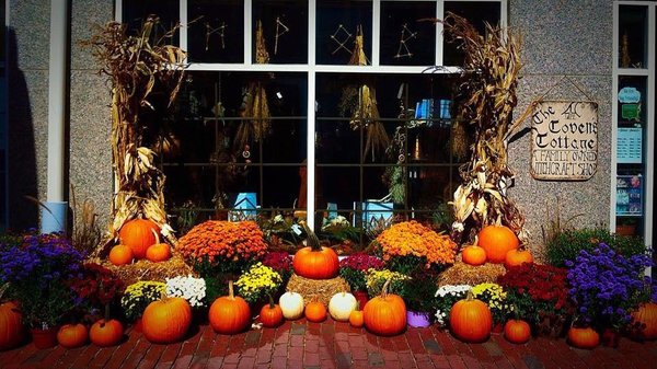 The Coven's Cottage by null