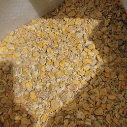 Cascade Farm and Outdoor - This is a bag of Nutrina Dry COB. Moldy and crumbly. Purchased 3/3/24