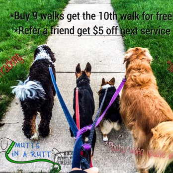 Mutts In A Rutt - Dog Walkers Near Me Mutts In A Rutt - Dog Walkers Near Me