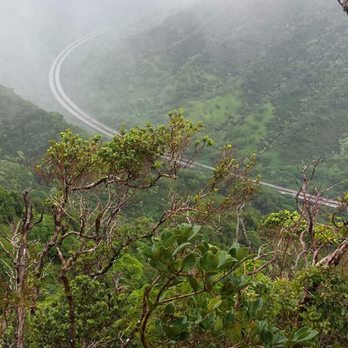 Aiea Loop Trail - H3 - Hiking Near Me - Aiea, Hawaii