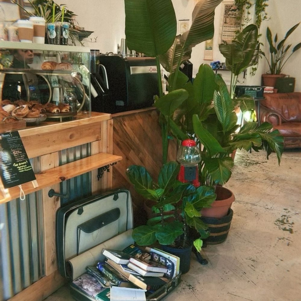 Roots Plants Coffee - Flowers & Gifts Near Me - Slidell, Louisiana Roots Plants Coffee - Flowers & Gifts Near Me - Slidell, Louisiana