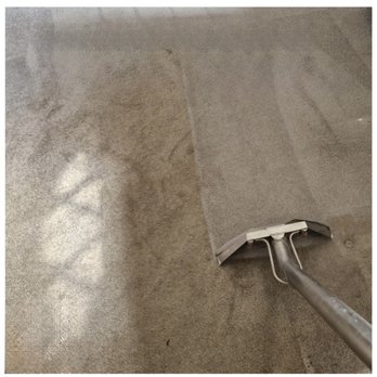 CleanVibe - Carpet Cleaning Near Me