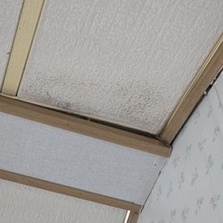 Diamond Lake Resort - Mildew on ceiling in bedroom