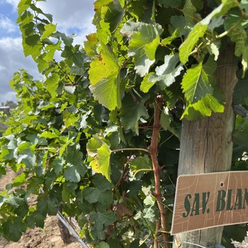 Sidecar Tours - Wine Tours Near Me - Temecula, California Sidecar Tours - Wine Tours Near Me - Temecula, California