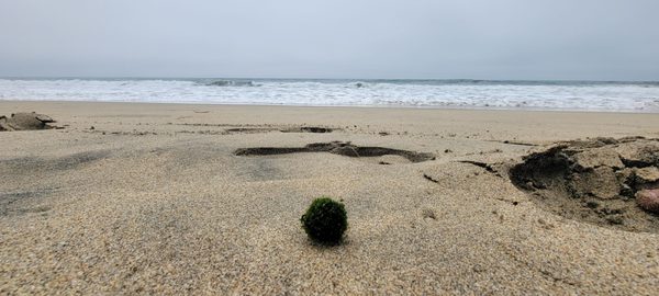 Dunes Beach by null