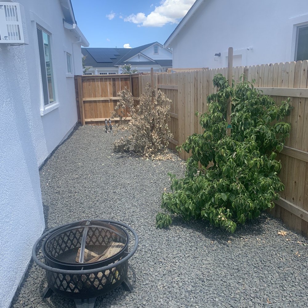 Pacific Stone Landscapes - TERRIBLE irrigation set up... numerous plants dead after just 2 months. - Landscape Architects or Designers Near Me Pacific Stone Landscapes - TERRIBLE irrigation set up... numerous plants dead after just 2 months. - Landscape Architects or Designers Near Me