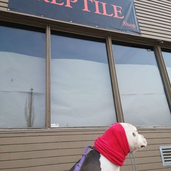 The Reptile Shop - Shop dog Brooklyn - Pet Stores Near Me - Red Deer, Alberta The Reptile Shop - Shop dog Brooklyn - Pet Stores Near Me - Red Deer, Alberta
