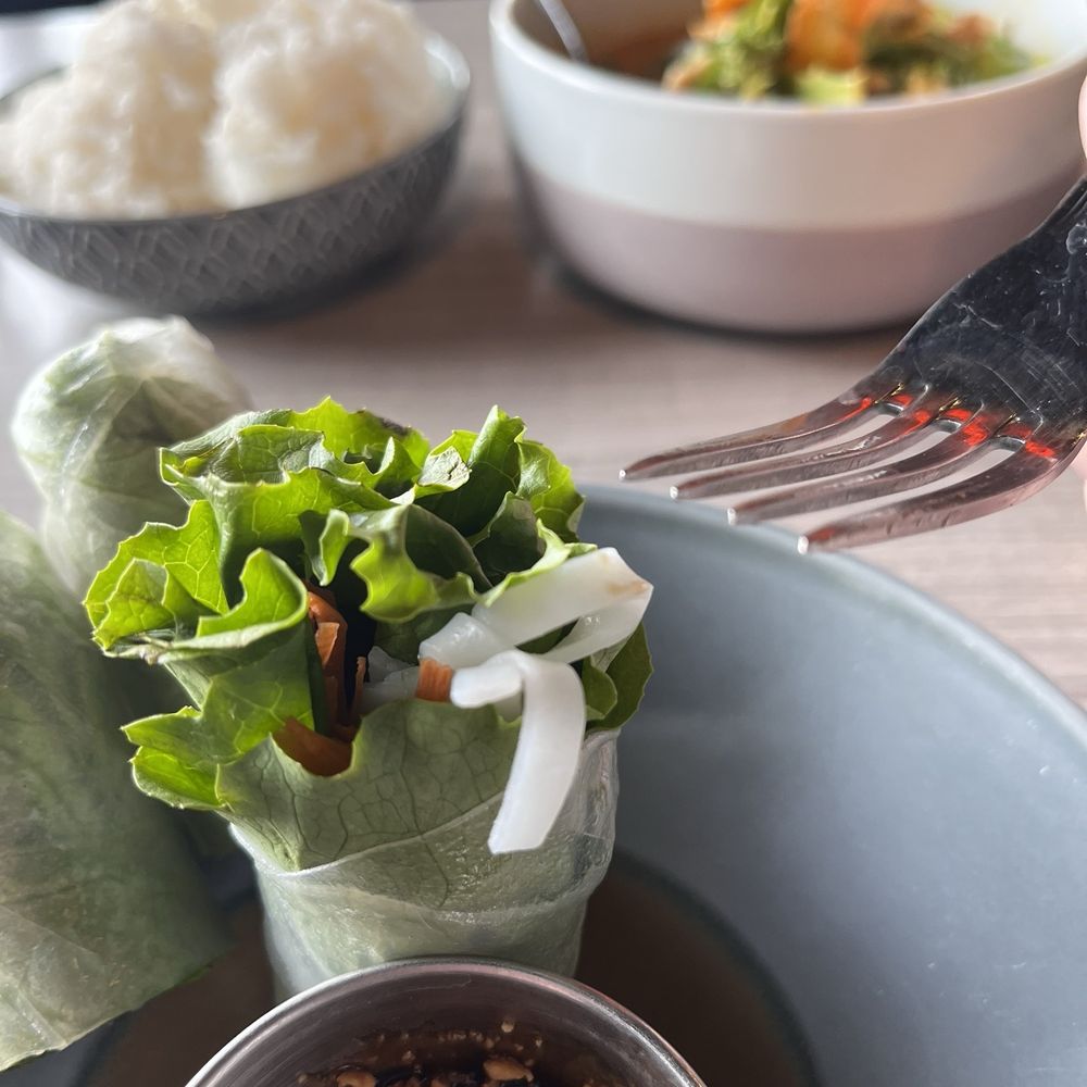 Sala Thai Tempe - Panang curry and summer rolls. - Thai Near Me - Tempe, Arizona