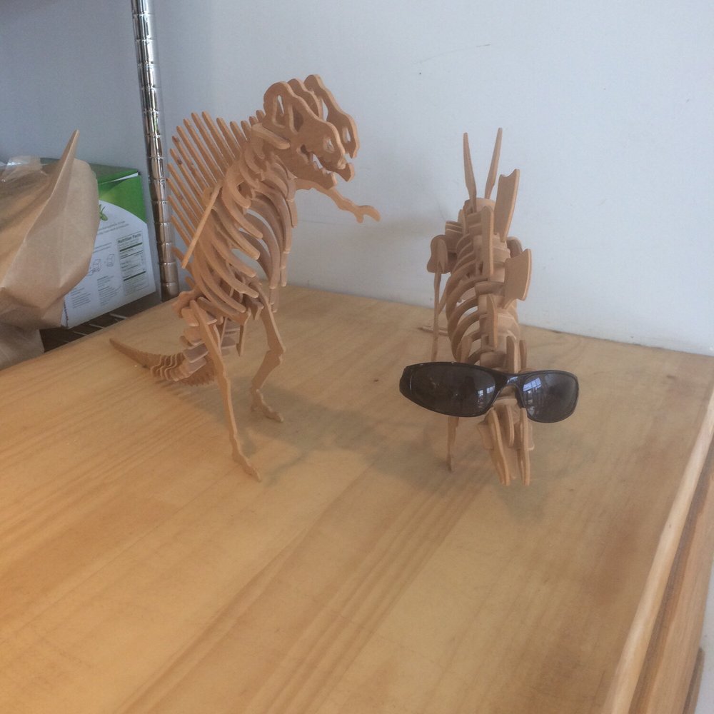 Scout - Dinos on the counter! - Coffee & Tea Near Me - Burlington, Vermont Scout - Dinos on the counter! - Coffee & Tea Near Me - Burlington, Vermont