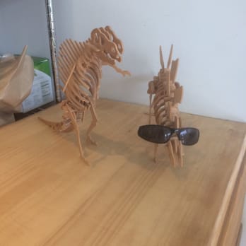 Scout - Dinos on the counter! - Coffee & Tea Near Me - Burlington, Vermont