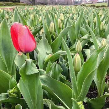 Chicago Botanic Garden - Botanical Gardens Near Me - Glencoe, Illinois