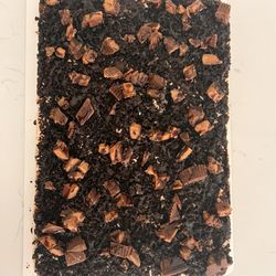 Cole’s Cheesecakes - Chocolate Peanut Butter Oreo Cheesecake