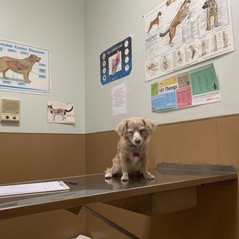 Euclid Veterinary Hospital - Waiting to be seen. - Veterinarians Near Me - Ontario, California