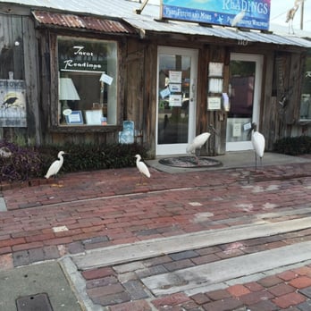 John's Pass - Why are there so many birds right outside the psychic's shop?! - Shopping Centers Near Me - Madeira Beach, Florida