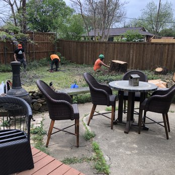 City Wide Tree Services - Tree Services Near Me City Wide Tree Services - Tree Services Near Me